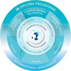 IB diploma programme 