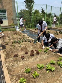 2025 CAS �ָ޳��Թ� ����Ȱ�� ÷���̹���