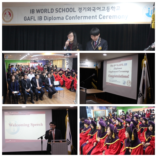 IB ������