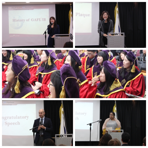 IB ������