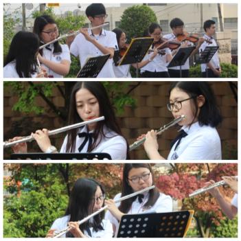 2016�г⵵ �����ǳ� ÷���̹���